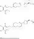 Fig. 178 - LUMINOGENIC AND FLUOROGENIC COMPOUNDS AND METHODS TO DETECT MOLECULES OR CONDITIONS