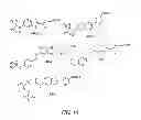 Fig. 18 - LUMINOGENIC AND FLUOROGENIC COMPOUNDS AND METHODS TO DETECT MOLECULES OR CONDITIONS