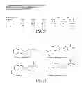 Fig. 44 - LUMINOGENIC AND FLUOROGENIC COMPOUNDS AND METHODS TO DETECT MOLECULES OR CONDITIONS