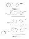Fig. 45 - LUMINOGENIC AND FLUOROGENIC COMPOUNDS AND METHODS TO DETECT MOLECULES OR CONDITIONS