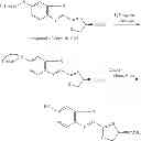 Fig. 63 - LUMINOGENIC AND FLUOROGENIC COMPOUNDS AND METHODS TO DETECT MOLECULES OR CONDITIONS