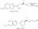 Fig. 75 - LUMINOGENIC AND FLUOROGENIC COMPOUNDS AND METHODS TO DETECT MOLECULES OR CONDITIONS