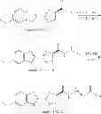 Fig. 89 - LUMINOGENIC AND FLUOROGENIC COMPOUNDS AND METHODS TO DETECT MOLECULES OR CONDITIONS
