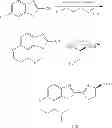 Fig. 96 - LUMINOGENIC AND FLUOROGENIC COMPOUNDS AND METHODS TO DETECT MOLECULES OR CONDITIONS