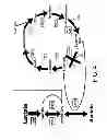Fig. 04 - Geobacter strains that use alternate organic compounds, methods of making, and methods of use thereof