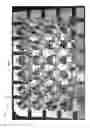 Fig. 02 - SYSTEM AND METHOD FOR HIGH THROUGHPUT TISSUE SAMPLE EXTRACTION