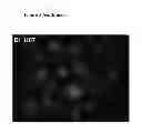 Fig. 10 - TUMOUR CELL AND TISSUE CULTURE