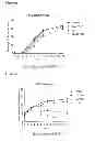 Fig. 13 - TUMOUR CELL AND TISSUE CULTURE
