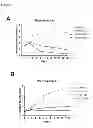 Fig. 16 - TUMOUR CELL AND TISSUE CULTURE