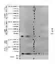 Fig. 04 - Device and method for drying biological sample on substrate