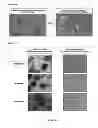Fig. 11 - Generation of duck cell lines