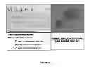 Fig. 16 - Generation of duck cell lines