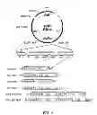 Fig. 02 - Methods and materials for enhancing functional protein expression in bacteria