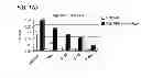 Fig. 28 - Methods and materials for enhancing functional protein expression in bacteria