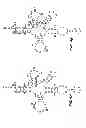 Fig. 05 - Compositions and methods for making selenocysteine containing polypeptides