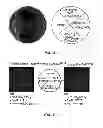 Fig. 06 - Compositions and methods for making selenocysteine containing polypeptides