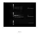 Fig. 05 - THERMOSTABLE CHIMERIC NUCLEIC ACID POLYMERASES AND USES THEREOF