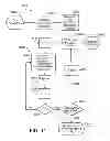 Fig. 11 - Electron beam irradiation processing of biomass and saccharification thereof