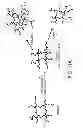 Fig. 12 - Electron beam irradiation processing of biomass and saccharification thereof