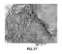 Fig. 29 - Electron beam irradiation processing of biomass and saccharification thereof