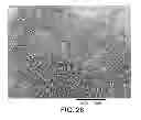 Fig. 30 - Electron beam irradiation processing of biomass and saccharification thereof
