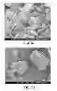 Fig. 33 - Electron beam irradiation processing of biomass and saccharification thereof