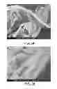 Fig. 34 - Electron beam irradiation processing of biomass and saccharification thereof