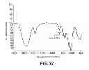 Fig. 36 - Electron beam irradiation processing of biomass and saccharification thereof