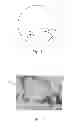 Fig. 02 - STRAIN OF BACILLUS SUBTILIS AND APPLICATIONS THEREOF