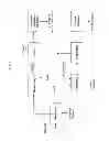 Fig. 02 - Processes for producing low-ash biomass for combustion or pellets