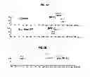Fig. 03 - Process of biologically producing aromatic carboxylic acid and derivative thereof