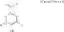 Fig. 05 - Process of biologically producing aromatic carboxylic acid and derivative thereof