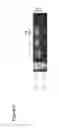 Fig. 09 - Genes Encoding Z,Z-Farnesyl Diphosphate Synthase and A Sesquiterpene Synthase with Multiple Products and Uses Thereof