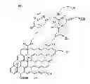 Fig. 01 - Chemically Modified Graphene