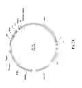 Fig. 23 - NPP1 FUSION PROTEINS
