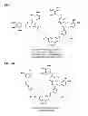 Fig. 07 - Photocleavable linker