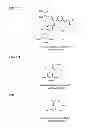 Fig. 10 - Photocleavable linker