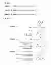 Fig. 16 - Photocleavable linker