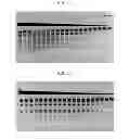 Fig. 04 - High fidelity restriction endonucleases