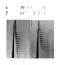 Fig. 11 - High fidelity restriction endonucleases