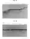 Fig. 05 - High fidelity restriction endonucleases