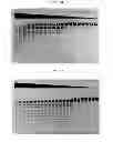 Fig. 06 - High fidelity restriction endonucleases