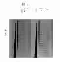 Fig. 09 - High fidelity restriction endonucleases