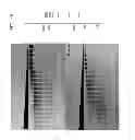 Fig. 11 - High fidelity restriction endonucleases
