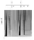 Fig. 12 - High fidelity restriction endonucleases
