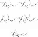 Fig. 03 - BIOPROCESSING