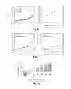Fig. 05 - Method for making polymer single nanowires and sensors utilizing the same
