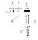 Fig. 22 - Chemical Temperature Control