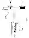 Fig. 25 - Chemical Temperature Control