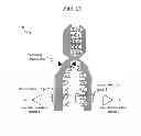 Fig. 10 - Biomolecule information analysis device